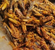 Fried Grasshoppers
