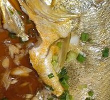 Deep-Sea Yellow Croaker