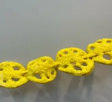 Fried Lotus Root Slices