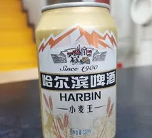 Harbin Beer Tasting