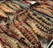 Giant Tiger Prawn