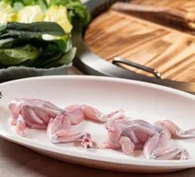 Freshly Caught Bullfrog