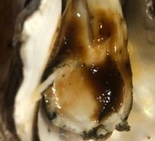 Black Pepper Oyster