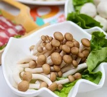 King Oyster Mushroom