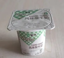 After-Dinner Yogurt