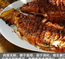 Grilled Rainbow Trout