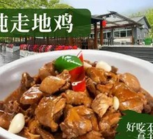 Braised Free-range Chicken