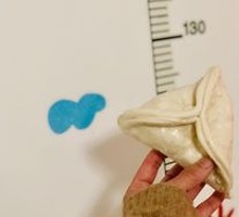 Sugar Triangle Dumplings