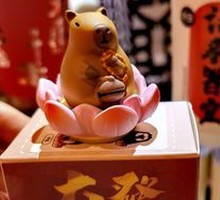 Lucky Lotus Blind Box