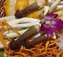 Mountain Mushroom Assortment