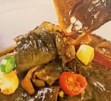 Golden Soup Softshell Turtle