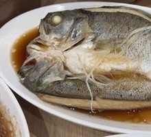 Steamed Sea Bass