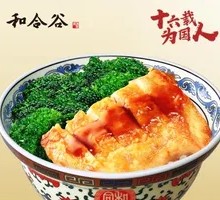 Marinated Chicken Cutlet Rice Bowl