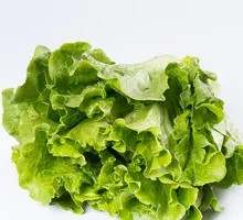 Lettuce