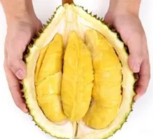 Thai Mature Durian Flesh