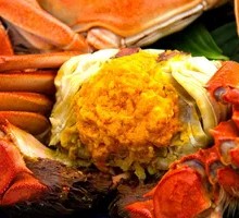Premium June Yellow Crab