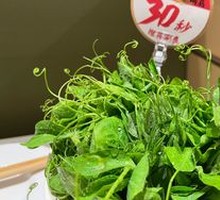 Pea Shoots