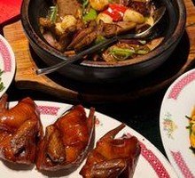 Young Pigeon with Milk