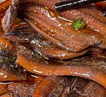 Fresh Live Earth Eel