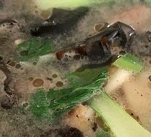 Lamb Soup with Flatbread