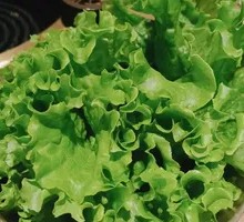 Lettuce