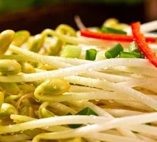 Mung Bean Sprouts