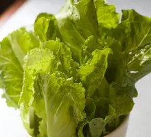 Lettuce