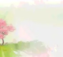 Signature Braised Songhua River Carp