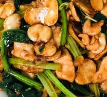 Spinach Sprout Beans