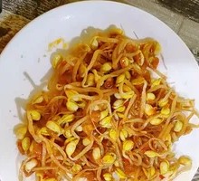 Mung Bean Sprouts