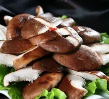 Fresh Shiitake Mushroom