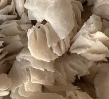 Thousand-Layer Tripe