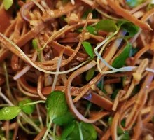 Fiddlehead Fern Salad with Tofu Strips