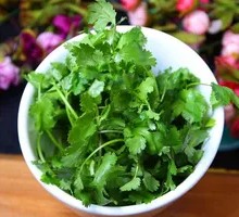 Cilantro