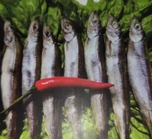 Mullet Fish
