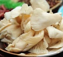 Enoki Mushroom