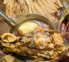Gala Fish (Yellow Catfish)