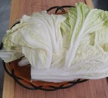 Chinese cabbage