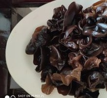 Wood Ear Mushroom