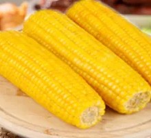Northeast Sticky Corn