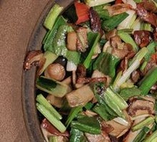 Grilled Wild Chanterelle