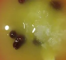 Silver Ear Mushroom and Pumpkin Porridge