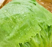 Romaine lettuce