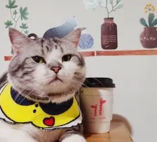 Little White and Coffee