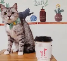 Beans & Coffee