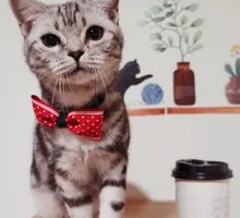 Little Black & Coffee