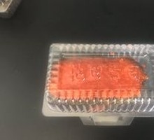 Salmon and Caviar Platter