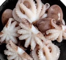 Octopus