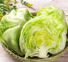 Romaine lettuce