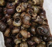 Spicy Sichuan Snail